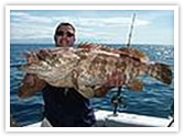 Regal Port Douglas holiday accommodation resort with game fishing in The Great Barrier Reef.