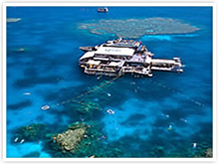 Regal Port Douglas holiday accommodation resort with cruises of The Great Barrier Reef.